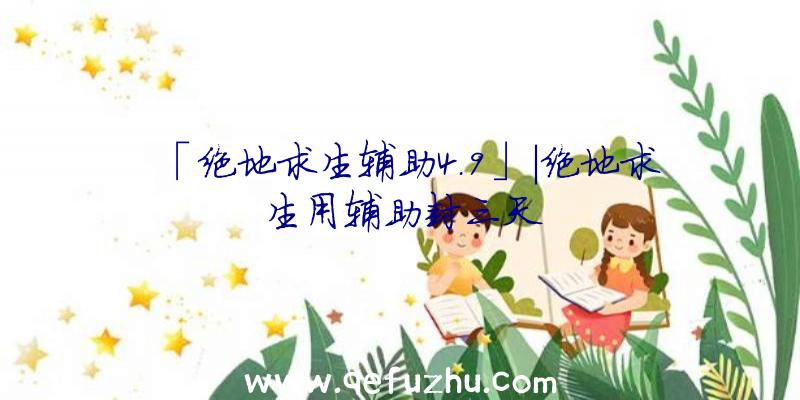 「绝地求生辅助4.9」|绝地求生用辅助封三天